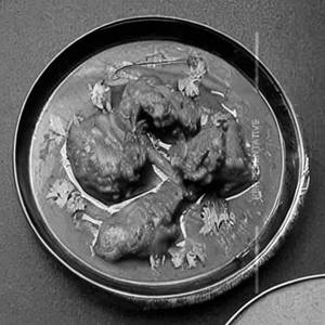 Chicken Makhanwala (Boneless)