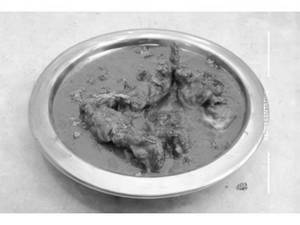 Chicken Mughlai