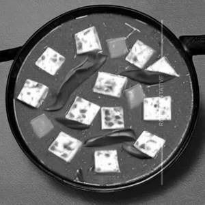 Paneer Hotpot