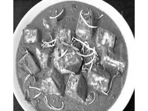 Kaju Paneer