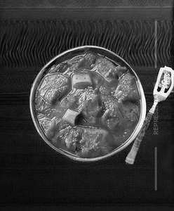 Veg Handi