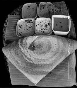 Cheese mysore dosa