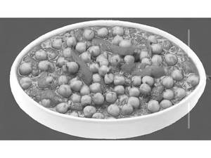 Chana Masala