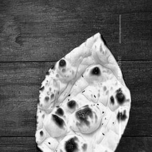 Naan