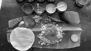 Fish Meal