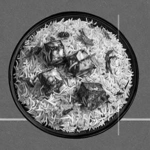 Barbeque paneer dum biryani