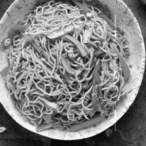 Veg Schezwan Noodles