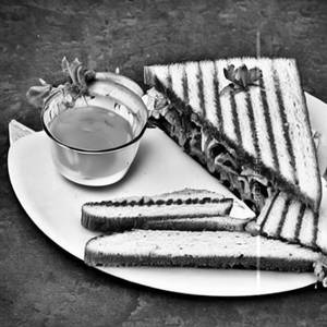 Garden Fresh Sandwich