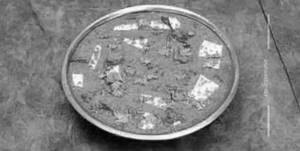 Paneer hyderabadi