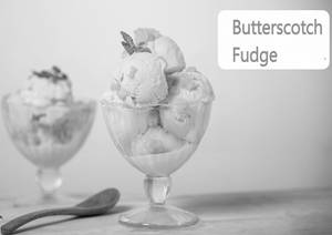 Butterscotch Fudge Icecream