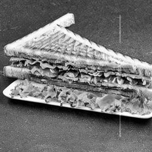 Veg sandwich