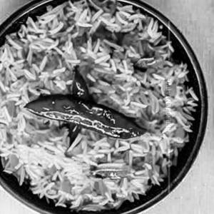 Dal Rice