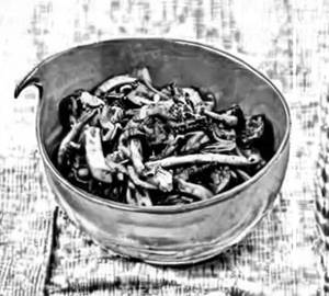 Mushroom pepper fry