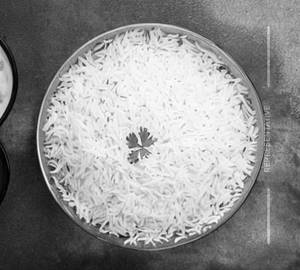 Plain Basmati Rice