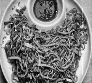 Gobi noodles