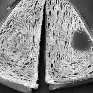 Jam Toast Sandwich