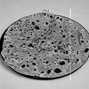 Pyaz Gobi Mooli Paratha 