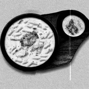 Chicken Cheesy White Sauce