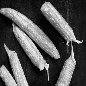 Golden Baby Corn