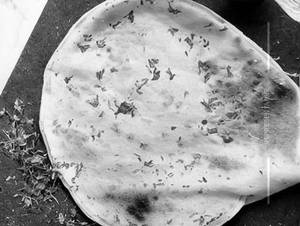 Butter Naan