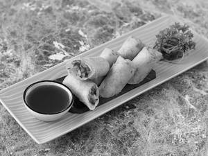 Vegetable Spring Roll