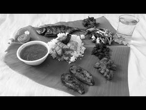 Fish Meals