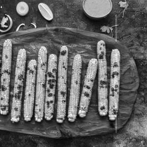 Corn Koliwada