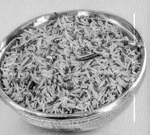 Veg munchurian rice