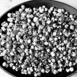 Crunchy Corn Chilli Pepper