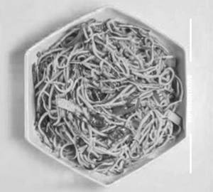 Egg chilli garlic noodles