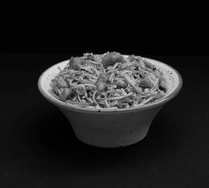 Schezwan Chicken Noodles