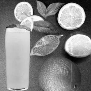 Fresh Lime
