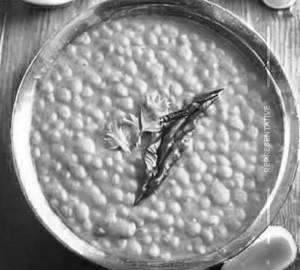 Plain dal