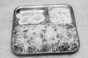 Green Peas Cheese Pulao