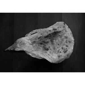 Butter Naan