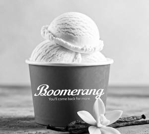 Vanilla Icecream