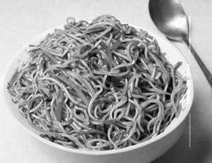 Veg Garlic Noodles