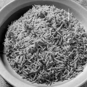 Chicken packing rice