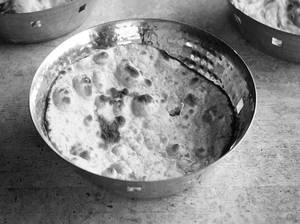 Tandoori Roti