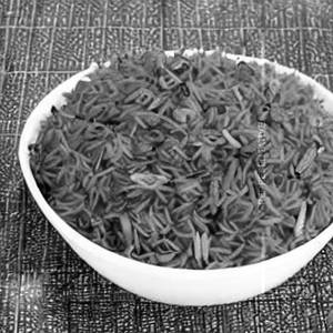 Manchurian Rice Mushroom