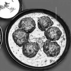 Malai Kofta