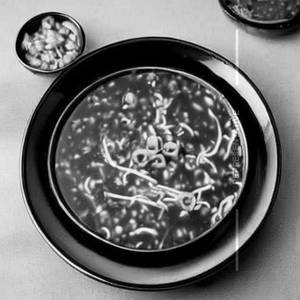 Chicken Manchow Soup