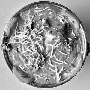 Shahi Paneer