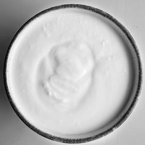Plain Curd