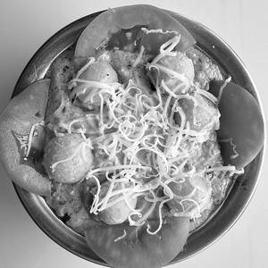 Cheese Angoori