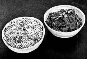 Mexican Rice