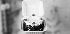 Bento Black Forest Cake