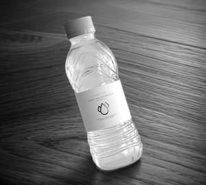 Water Bottle (500 Ml)