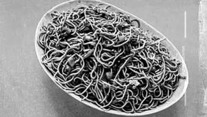 Chicken Schezwan Rcie Noodles