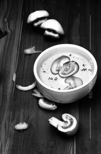 Cream Of Mushroom